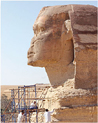 http://fa-arch.cu.edu.eg/images/00000/TARMEM%20ASAR.jpg